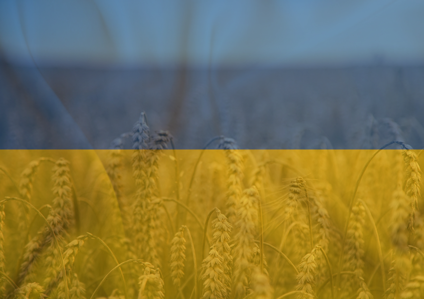 Black Sea Grain Initiative: Success of International Diplomacy or ...