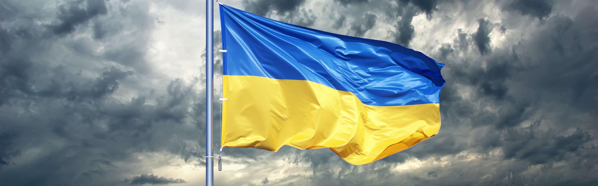 Ukraine Flag before stormy sky