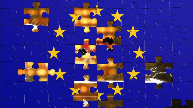 EU Flag Puzzle Visualisation