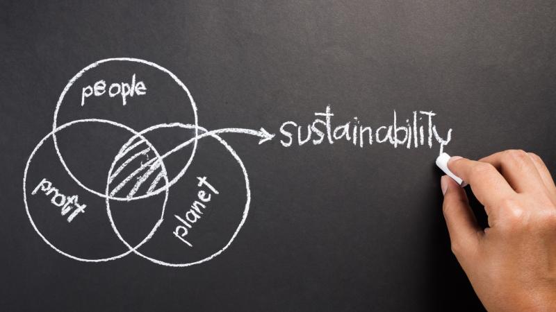 Sustainability ingredients blackboard drawing
